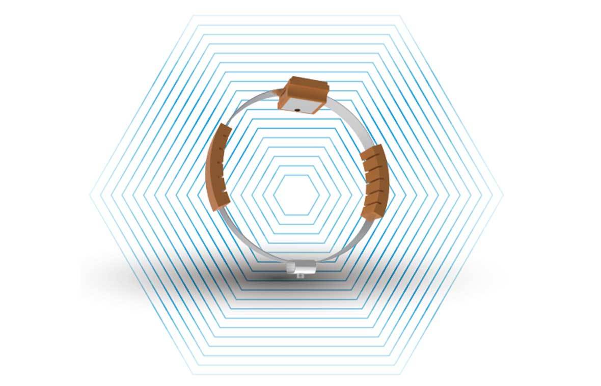 1724307984620210.jpg 8.jpg